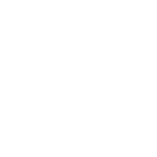 feature-item-4